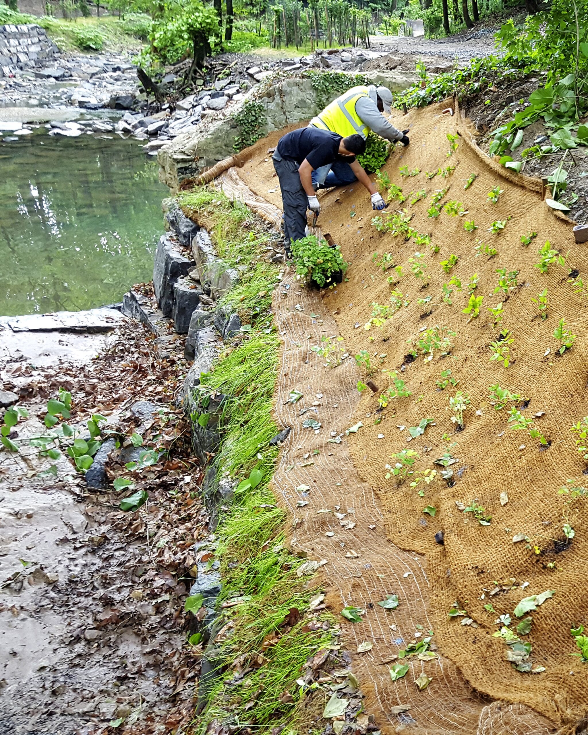 Gorgas Run Stream Restoration